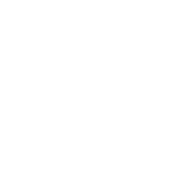 NAPFA Logo