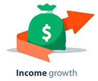 Income-Oriented Strategies